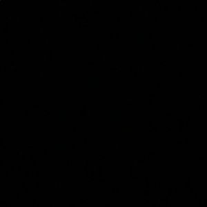 Meet your Posher, Bianca